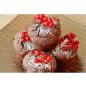 Preview: Backform Muffin 12-er Kuchen